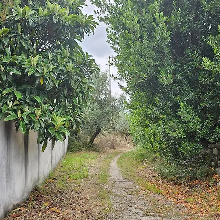 Bed & Breakfast Casal Cura - Adults Only Chao de Couce